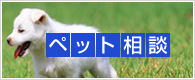 センチュリータイムズ堂々完成！